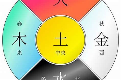 硨磲五行|【硨磲 五行】想知道自己的幸運手串嗎？快來測測你的硨磲五行。